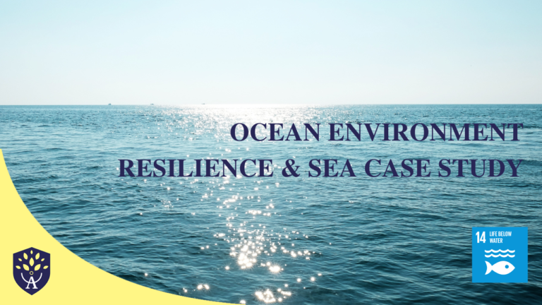Ocean Environment Resilience & SEA Case Study
