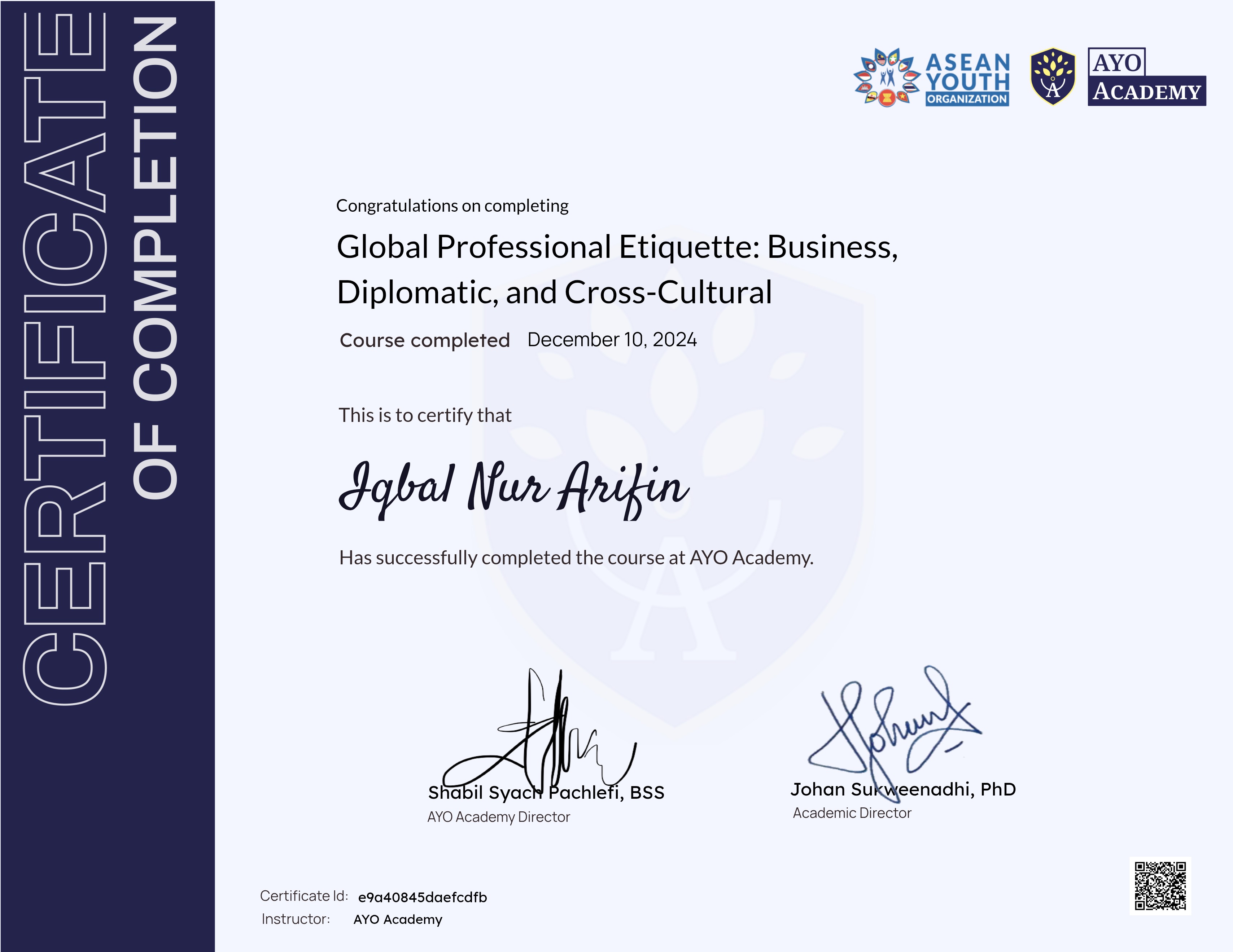 Global Professional Etiquette: Business, Diplomatic, and Cross-Cultural