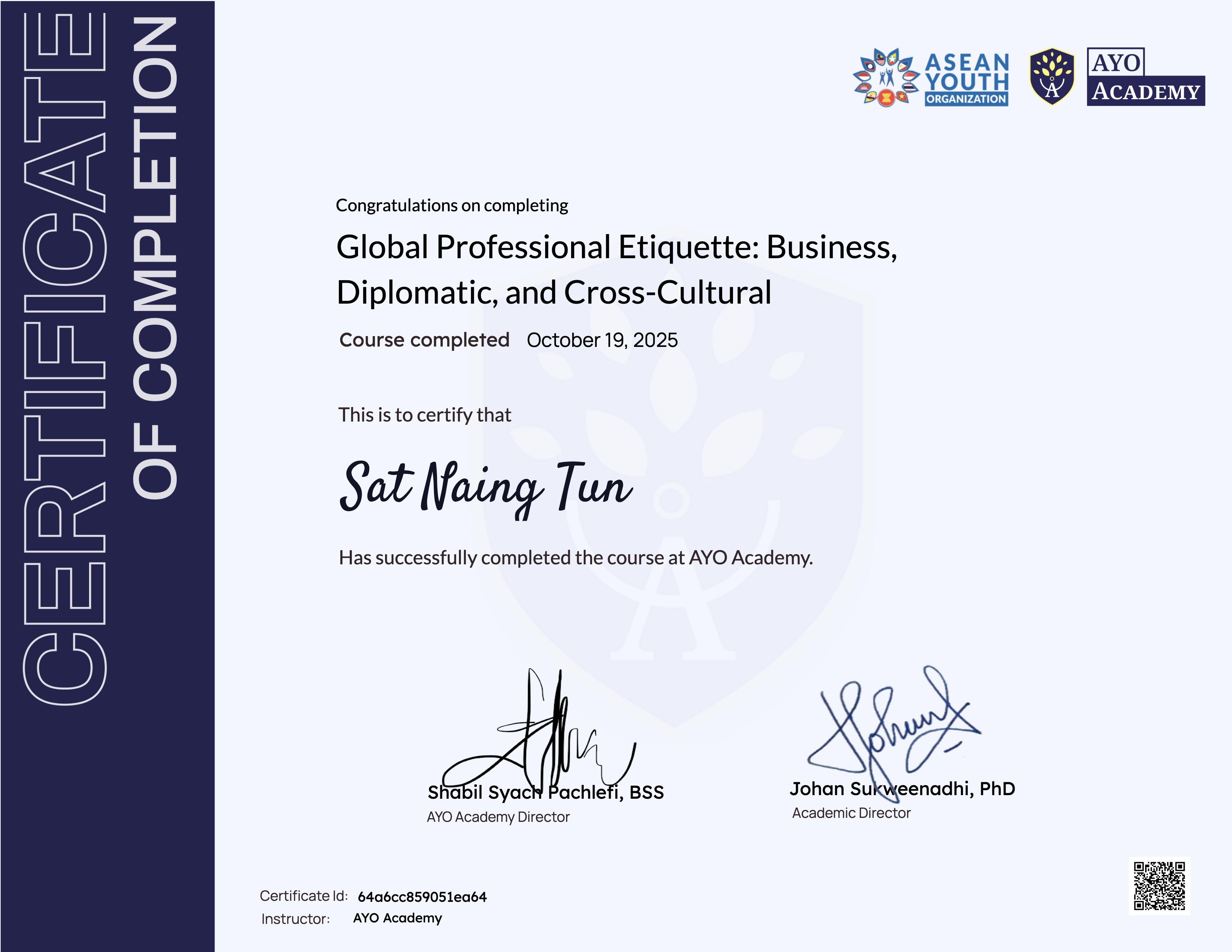 Global Professional Etiquette: Business, Diplomatic, and Cross-Cultural